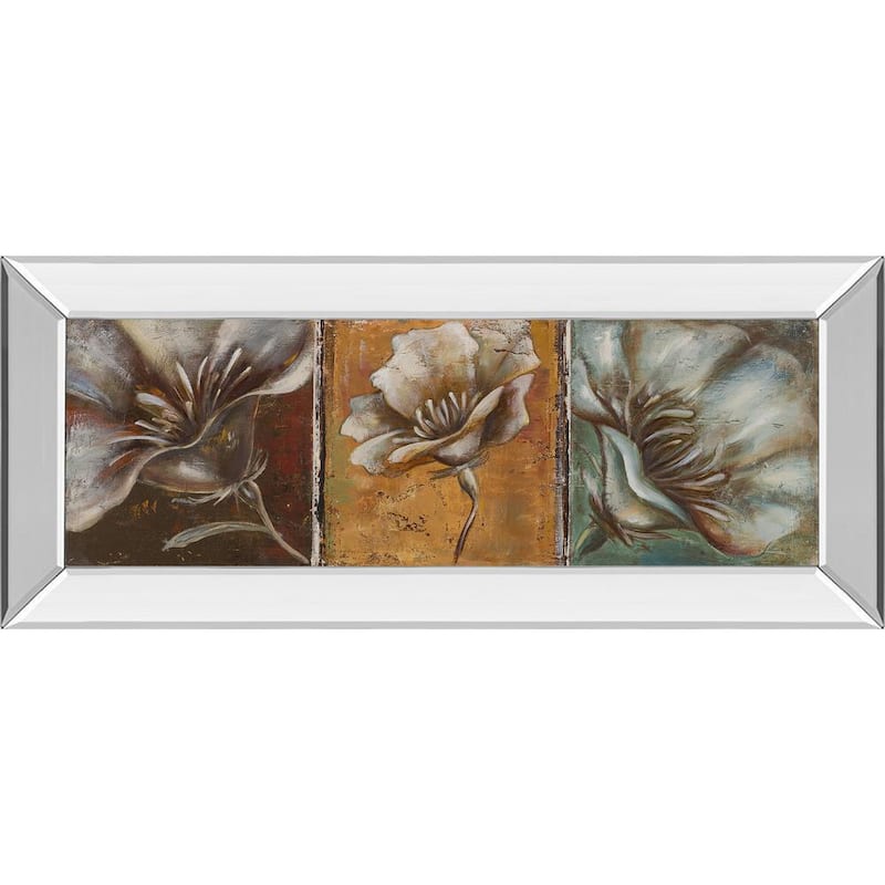 The Three Poppies IBy Patricia Pinto Mirror Framed Print Wall Art 18 in. x 42 in.