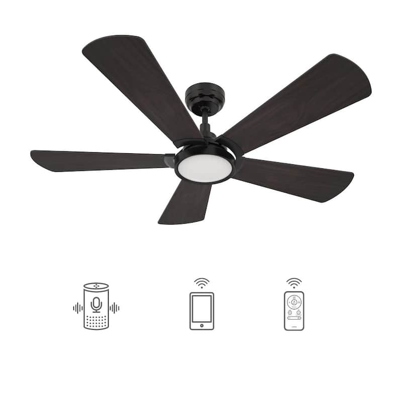 Wilkes 52 in. Dimmable LED Indoor/Outdoor Black Smart Ceiling Fan with Light and Remote, Works with Alexa/Google Home