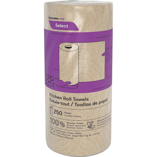 Natural 100% Recycled 2-Ply Paper Towel Roll (250-Sheets per Roll, 12-Rolls per Pack)