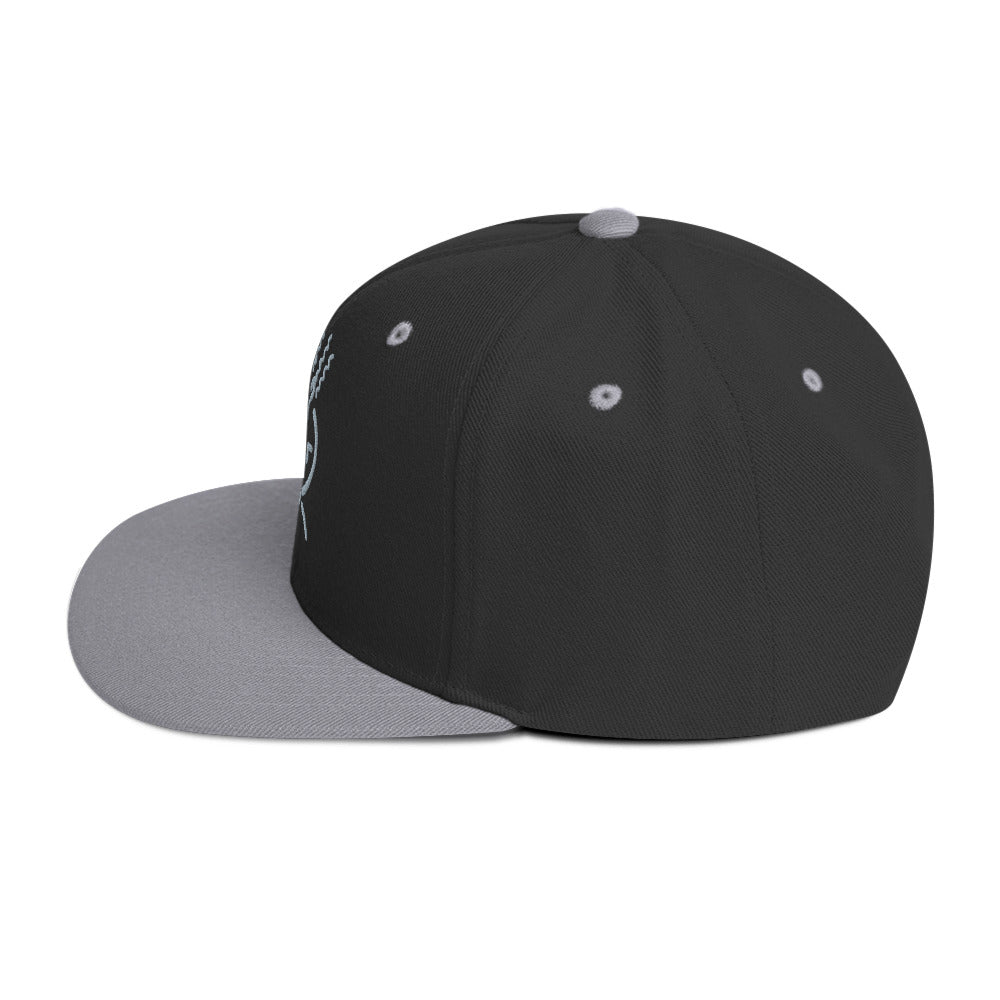 Classic Embroidered Snapback Gray & Black Unisex