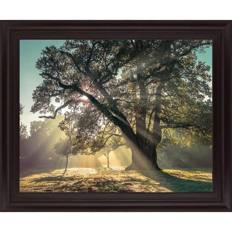 Breaking ThroughBy A. Frank Framed Print Nature Wall Art 28 in. x 34 in.