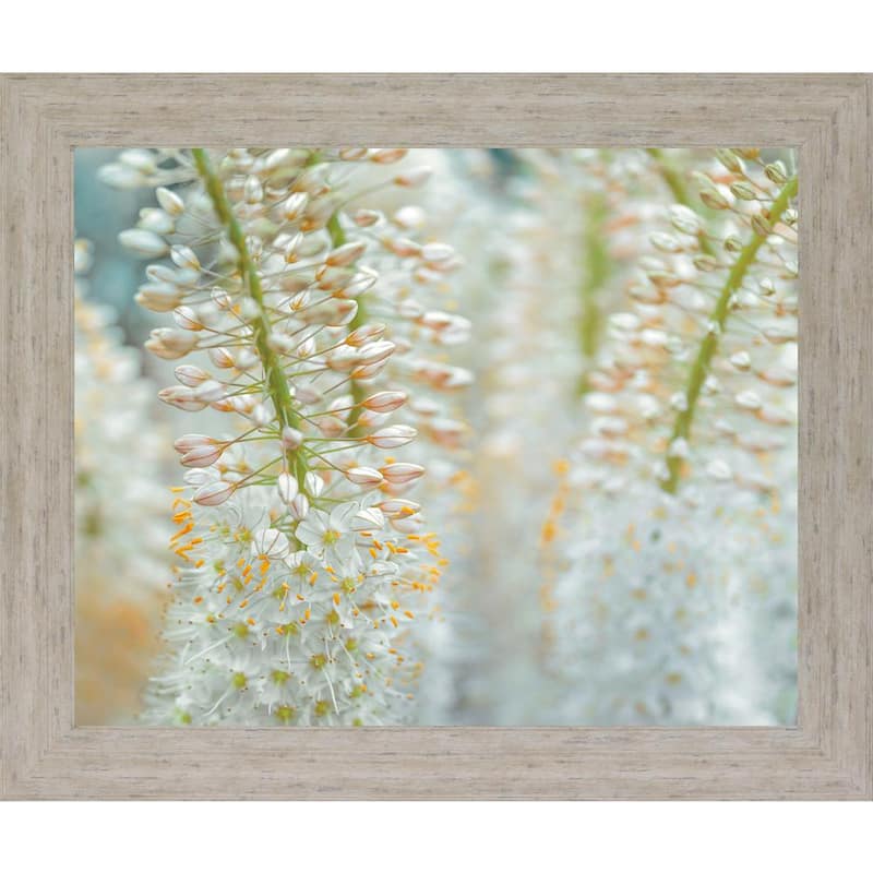 HumbledBy Frank Assaf Framed Print Nature Wall Art 28 in. x 34 in.