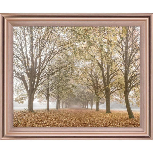 Autumn's PeaceBy Frank A Framed Print Wall Art 28 in. x 34 in.