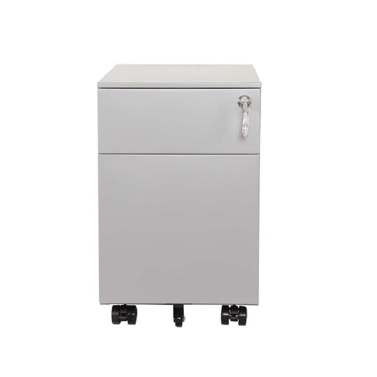 Gray Mobile Metal File Cabinet with 2-Drawer and Lock, Fully Assembled