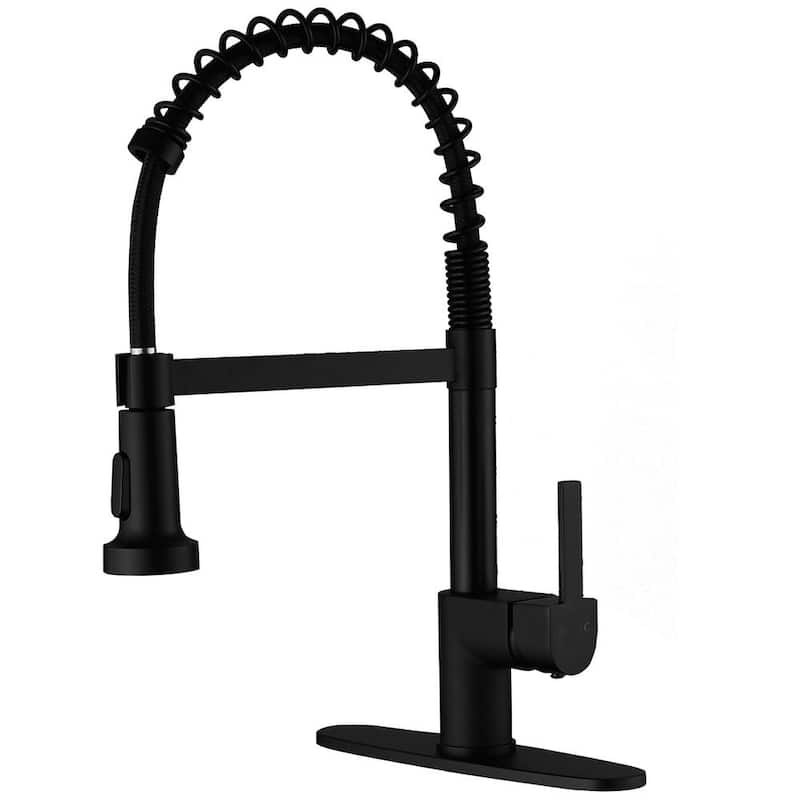 Single-Handle Pull-Down Sprayer 2 Spray High Arc Kitchen Faucet With Deck Plate in Matte Black