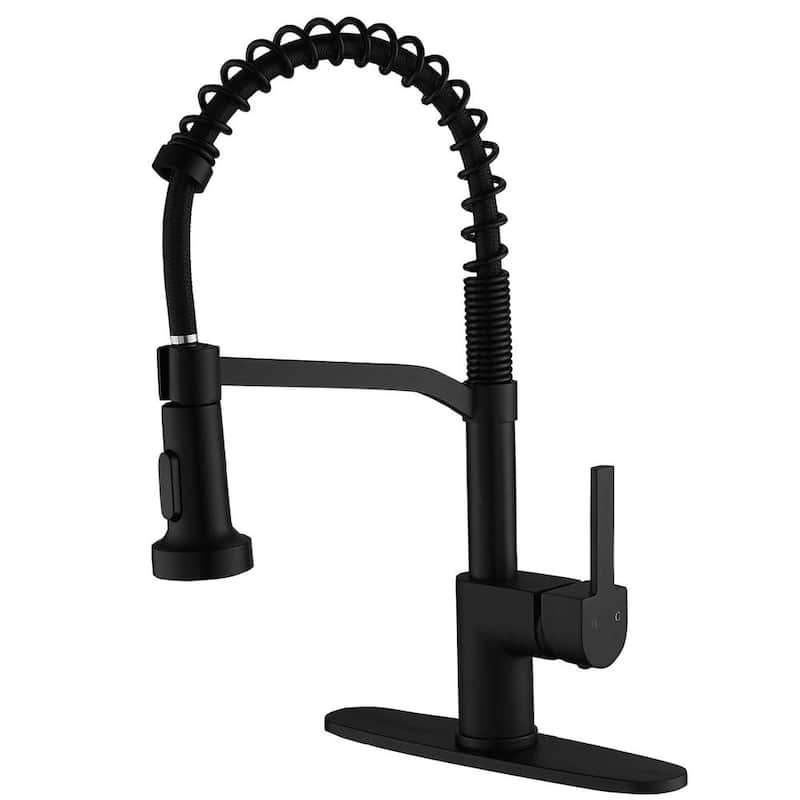 Single-Handle Pull-Down Sprayer 2 Spray High Arc Kitchen Faucet With Deck Plate in Matte Black