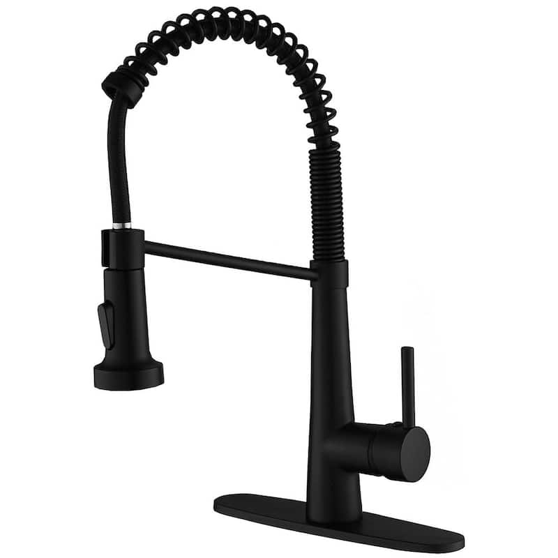 Single-Handle Pull-Down Sprayer 2 Spray High Arc Kitchen Faucet With Deck Plate in Matte Black