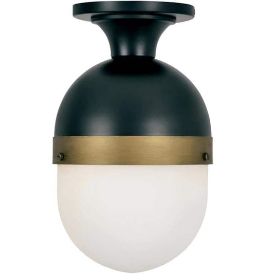 Capsule 1-Light Black Outdoor Flush Mount