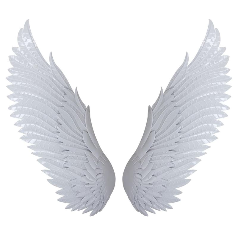 Chic White Wings Mixed Metal Media Wall Art